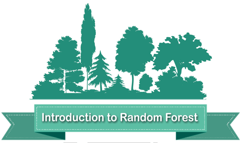 Read more about the article What is the Random Forest Algorithm in 2minutes?