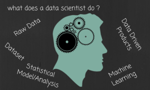 Read more about the article The Intelligent Data Scientist: Investing in Python for Data Science